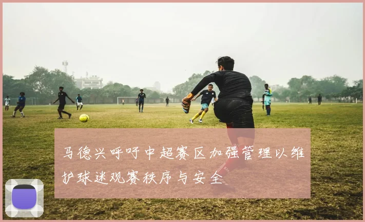 马德兴呼吁中超赛区加强管理以维护球迷观赛秩序与安全